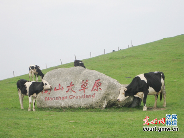 南山大草原(摄影)