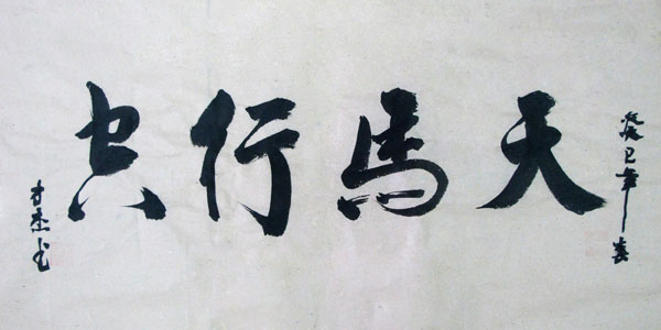 天马行空(书法)